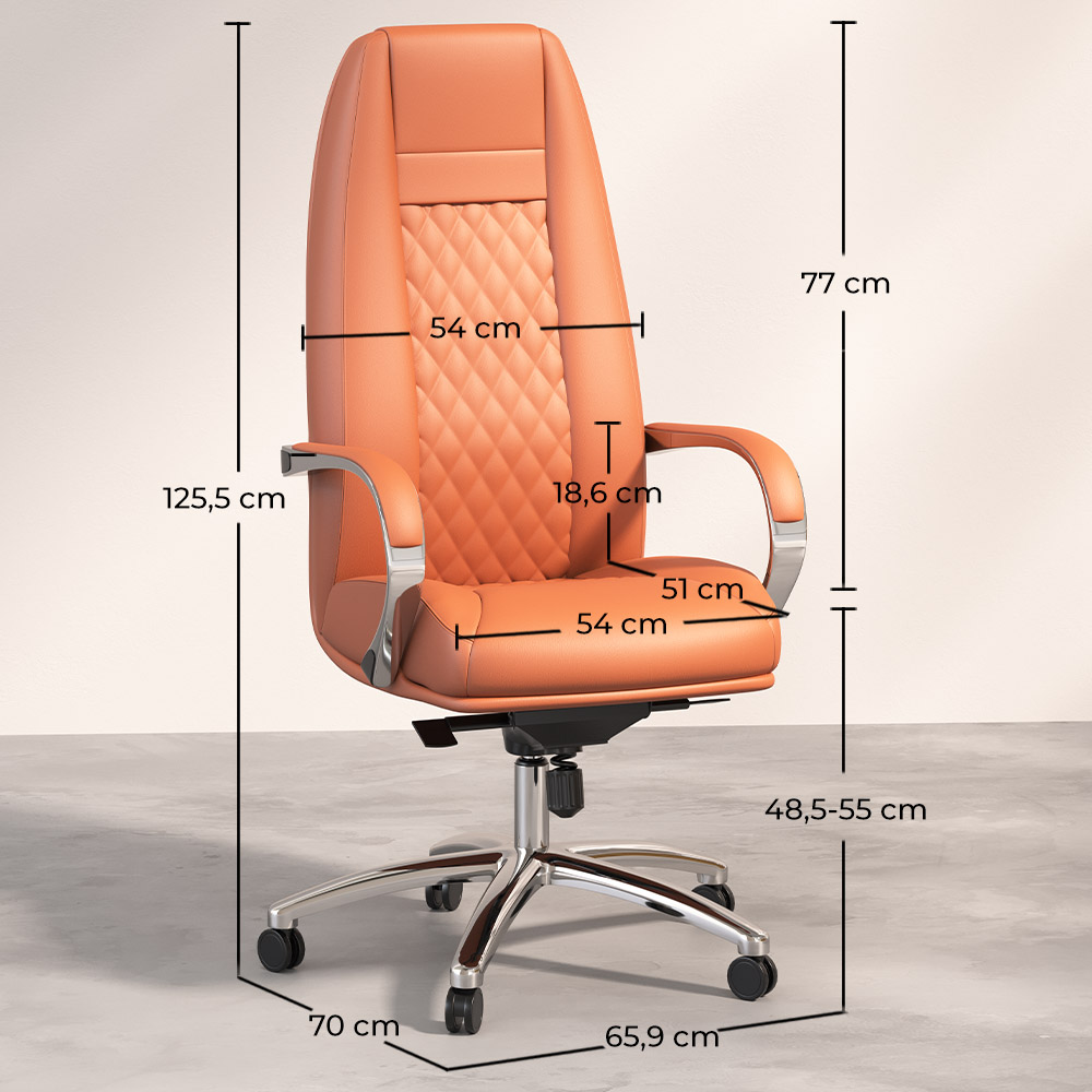 Silla de Oficina Ergonomica con Ruedas y Reposabrazos - Manga image 10