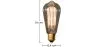 Bombilla  Edison Vintage - Squirrel image 7