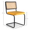 Silla de Comedor - Tapizado en Terciopelo - Madera y Ratán - Puila image 7