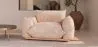 Sillón - Tapizado en Terciopelo - Wers image 7