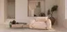 Sillón - Tapizado en Terciopelo - Wers image 7