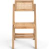 Silla de Comedor Plegable de Madera  Ratán - Umbra image 7