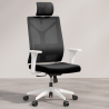 Silla de Oficina Ergonomica con Ruedas y Reposabrazos - Ergal image 7