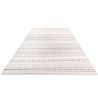 Alfombra Grande de Diseño Contemporáneo y Moderno - Beige (290x200 cm) - Ferrum image 7