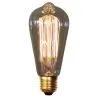 Bombilla  Edison Vintage - Squirrel image 7