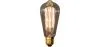Bombilla  Edison Vintage - Squirrel image 9