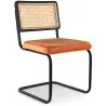 Silla de Comedor - Tapizado en Terciopelo - Madera y Ratán - Puila image 9