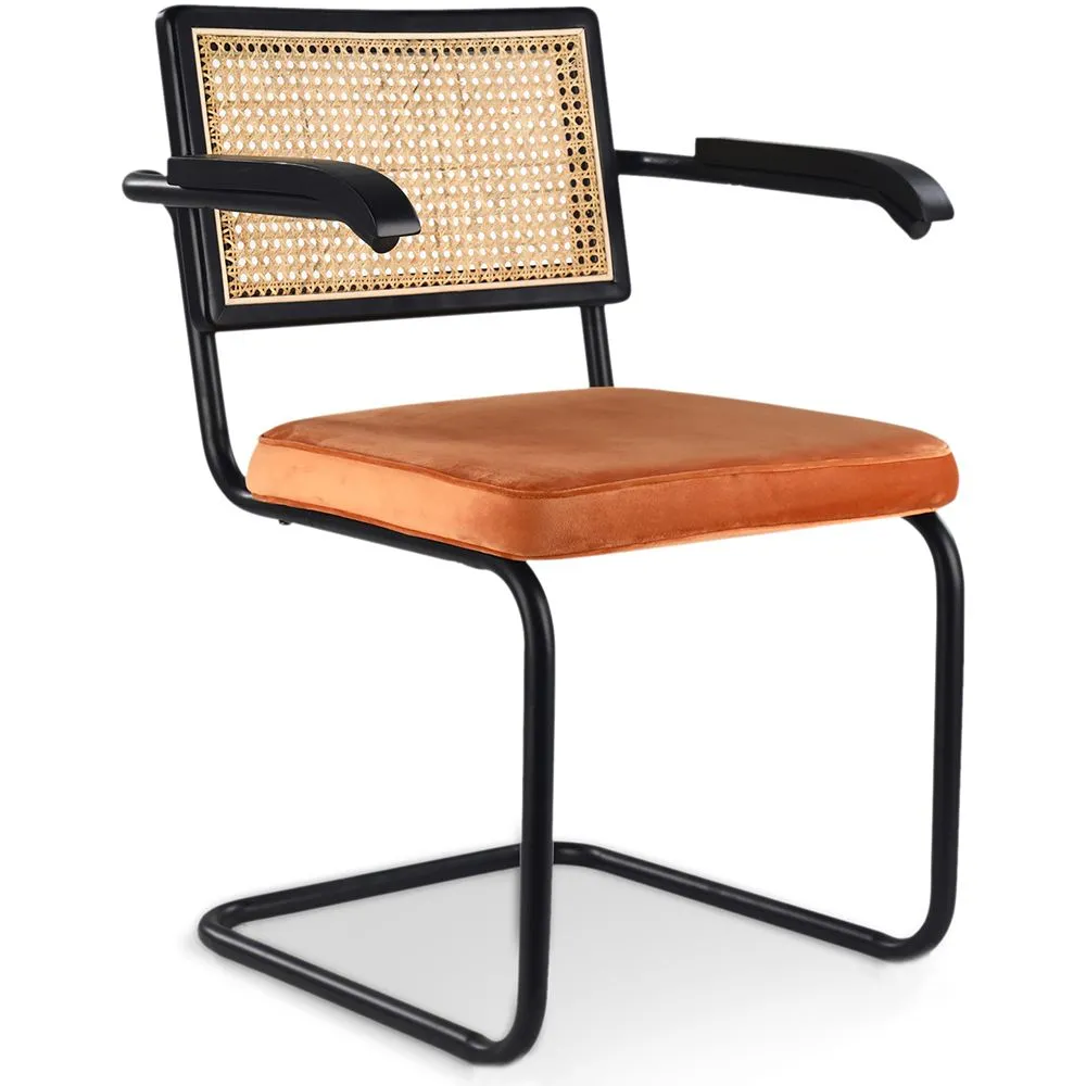 Silla de Comedor con reposabrazos - Tapizada en Terciopelo - Madera y Ratán - Puila image 8