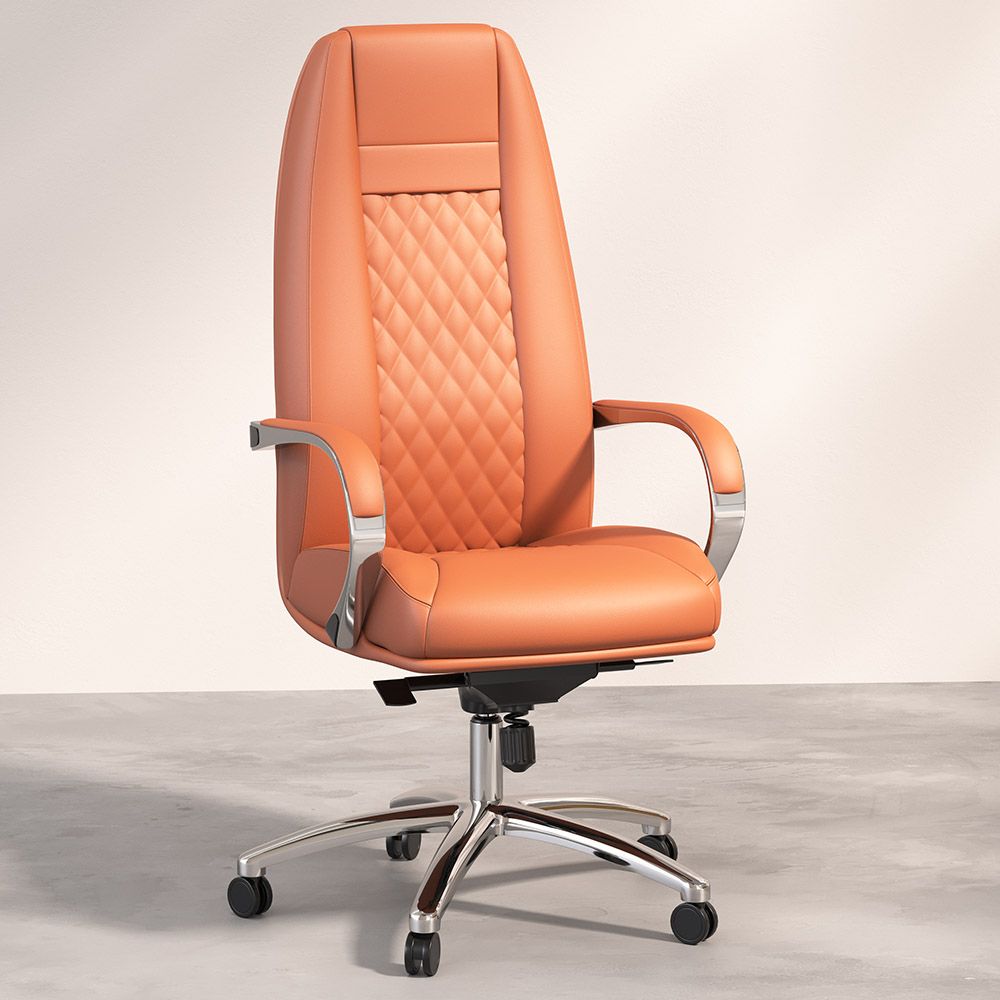 Silla de Oficina Ergonomica con Ruedas y Reposabrazos - Manga image 8