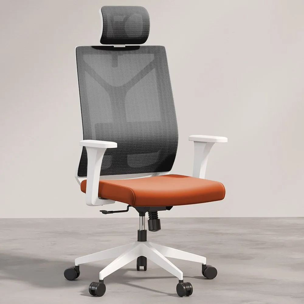 Silla de Oficina Ergonomica con Ruedas y Reposabrazos - Ergal image 8